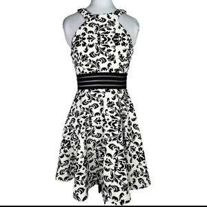 Skater Fit & Flare Embroidered Velvet Mini Dress, Bra padding, Sheer Mesh, S